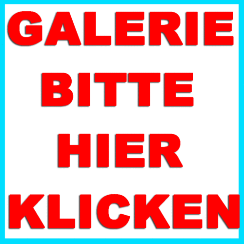 / GALERIE / / GALERIE / / GALERIE /